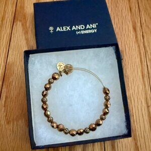 Alex & Ani Bronze beaded bangle bracelet